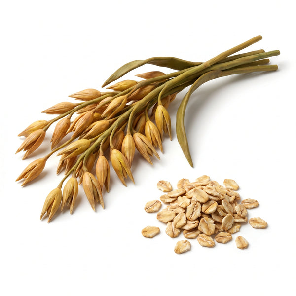 Estratto d'avena